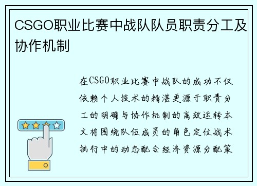 CSGO职业比赛中战队队员职责分工及协作机制