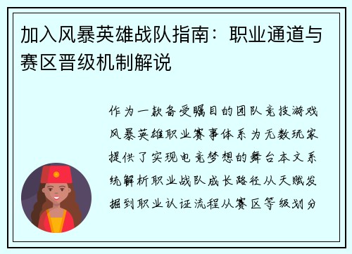 加入风暴英雄战队指南：职业通道与赛区晋级机制解说